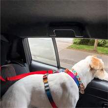 1pc Multi-Functional Pet Car Safety Belt And Leash, Travel, Adjustable Dog Safety Harness Collar Pet Accessory - one-size - View 3