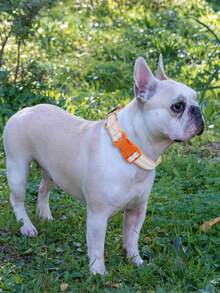 1 pieza Collar para mascotas anti-estrangulamiento para perros y gatos pequeños y medianos, de doble color, ajustable, anti-estrangulamiento y anti-explosión