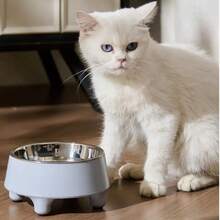 Elevated Dog/Cat Bowl, Stainless Steel Pet Food & Water Bowl, Non-Spill, For Small Dogs, Medium & Large Breeds - 300ml - View 3