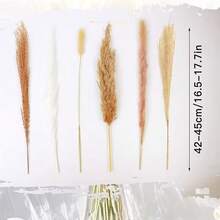 蓬松的蒲苇草混合兔尾干花花束，圣诞节和万圣节家居花瓶房间客厅装饰，花园装饰品，人造花，蒲苇草，芦苇，婚礼节日装饰，派对用品 - 彩色 - 查看 5