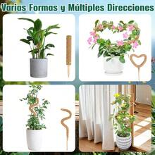 4 Pcs Tutor para Plantas 64CM de Poste de Musgo Flexible para Plantas Monstera Tutores para Plantas con 4 Rollo Cuerda de Yute/10Pcs Etiquetas Poste de Musgo Plegable para Plantas de Soporte - inicial - Ver 4
