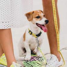 2PCS Cat Collar Bell, Metal Sled Bell, Country Craft Bell, Metal Charm Bell, Cat Craft Bell, Kitten Collar Bell