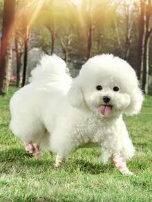 Dog Boots Waterproof Anti-Slip, Paw Protectors For Outdoor Walking & Winter, Reusable Adjustable Pet Shoes With Traction Grip For Small Medium Large Dogs And Cats