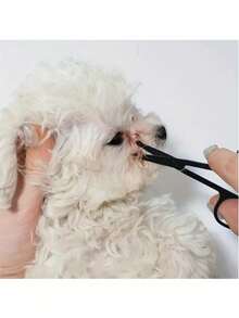 1 pezzo Forbici per toelettatura per animali domestici con punta rotonda in acciaio inossidabile - Trimmer per pelo pesante per animali domestici, adatto per rifilare il naso, le orecchie, il viso e le zampe - Uso professionale e domestico - Design facile da pulire, adatto a tutte le razze e dimensioni di cani, strumento per toelettatura di animali domestici, impugnatura ergonomica, utilizzabile in tutte le direzioni, cura degli animali, rifinitura del naso, presa comoda, costruzione robusta, tosatura di animali - Multicolore - Visualizzare 1