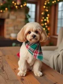 Plaid & Striped Pet Bandana With Tassels - Triangle Scarf For Dogs & Cats | Drool Bib - Multicolor - View 6