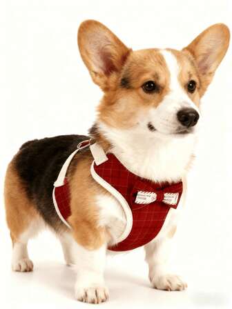 Pet Tie Chest Strap Set With Rope Suitable For Small, Medium, And Large Dogs And Cats. Non Pull Adjustable Reflective Step Dog Pet Vest Strap