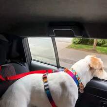 宠物狗车载安全背带，适用于小型和中型犬，多功能车载安全牵引绳，宠物旅行背带，也可作为牵引绳使用 - 均碼 - 查看 6