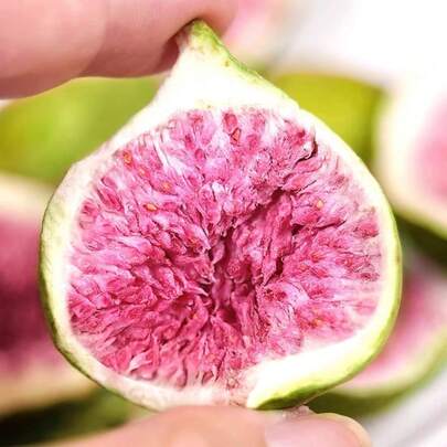 1件/5件/10件/15件/20件/25件装人造装饰垂直藤蔓，搭配干花、香干无花果、山楂花，适用于DIY手工工艺品、蜡烛装饰、香皂装饰，以及客厅、卧室、办公室、咖啡厅等家居装饰，适用于各种节日和派对。