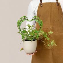 - Paquete de 4 enrejados de metal negro de 13 pulgadas para plantas trepadoras, estructura de soporte de tallo de vid de hierro con 10 lazos para plantas en maceta y flores de interior - 4 + Corazón+Redondo - Ver 8