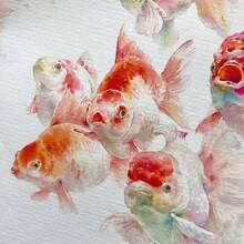 25张 | 200克/平方米 | 手工棉纸，适用于绘画、素描、油画等，手工粗纹理纸 | 棉布 | 毛边，适合初学者、大学生和艺术家，也适用于剪贴簿和婚礼请柬。 - 白色 - 查看 4