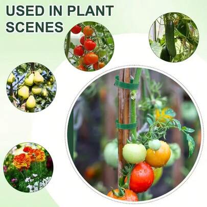 100-Piece Reusable 6-Inch Adjustable Non-Slip Nylon Plant Tie With Hook-And-Loop Fastener, Green - Ideal For Climbing Plants, Supports, And Garden Maintenance | And Easy-To-Use Gardening Tool