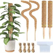 4 Pcs Tutor para Plantas 64CM de Poste de Musgo Flexible para Plantas Monstera Tutores para Plantas con 4 Rollo Cuerda de Yute/10Pcs Etiquetas Poste de Musgo Plegable para Plantas de Soporte - inicial - Ver 2