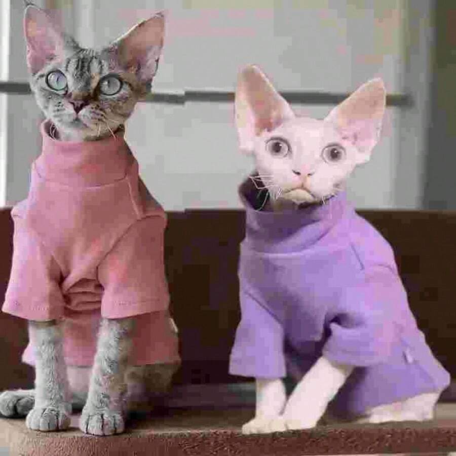 Quần áo len cổ lọ mềm mại cho mèo Sphynx, trang phục ấm áp cho thú cưng vào mùa xuân, mùa thu và mùa đông - Màu tím - Xem 1