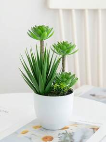装饰性人造花 - 圆形玻璃罐多肉植物套装，无需浇水，永不凋谢 - 綠色 - 查看 3