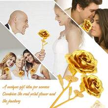 YQQ ZJchao Oro Rosa sumergido lámina de Oro Amarillo de 24 k Coleccionable Flor Rosa único para Novia mamá Esposa eterna Rosa de Tallo Largo para el día de San Valentín5735 - AmarilloDorado - Ver 5