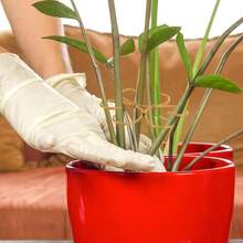 4uds Soportes para Tallos de Plantas, Soporte Crecimiento Vertical para Trepadoras Monstera y Plantas de Interior Hierro Soporte y Enrejado Tallos Cultivo en Exteriores e Interiores - inicial - Ver 8