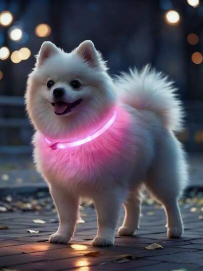 USB Rechargeable Glowing Collar - Adjustable And High Brightness For Maximum Visibility, For Nighttime Use