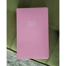 [Free Shipping] NIV, Gift And Award Bible, Leather-Look, Pink, Red Letter, Comfort Print,Single Book - Single Book - View 2
