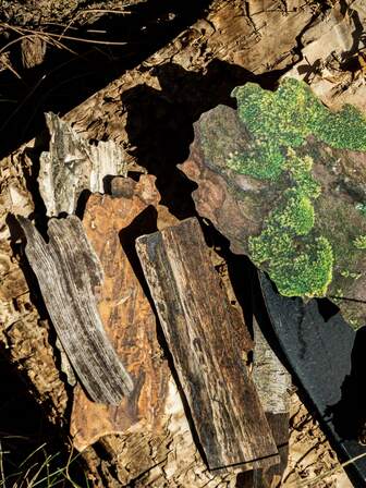 20 piezas/paquete Pegatinas vintage con textura natural, Manualidades DIY Decoración para planificador, álbum de fotos, artesanía