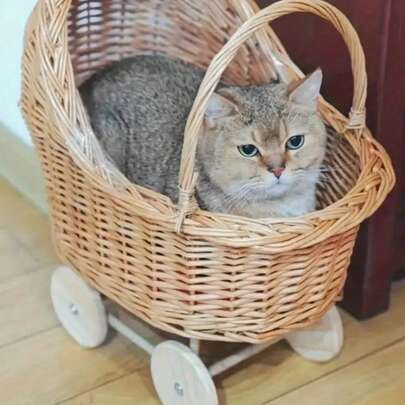 Cute Baby Stroller Shaped Basket Creative Wooden Baby Shower Basket Woven Flower Girl Basket