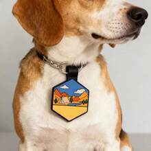 8-Piece Set Of Silicone Dog Tags, Customized Silicone Dog Tags, Cat Tags, Personalized Pet Identity Tags, Surname Tags, And Double-Sided Laser Engraved Dog Collar Tags. - Multicolor - View 5