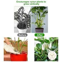 4uds Soportes para Tallos de Plantas, Soporte Crecimiento Vertical para Trepadoras Monstera y Plantas de Interior Hierro Soporte y Enrejado Tallos Cultivo en Exteriores e Interiores - inicial - Ver 1
