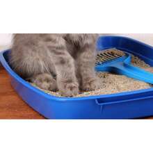 Meow 1 Bolsas de 5Kg + 1Kg de regalo, 6kg Total. - Unitalla - Ver 5