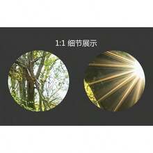 Murales de pared de tamaño personalizado, paisaje submarino de la isla del mundo, murales de pared autoadhesivos extraíbles de despegar y pegar, papel pintado fotográfico grande - Mural de pared Bosque 4 - Ver 8