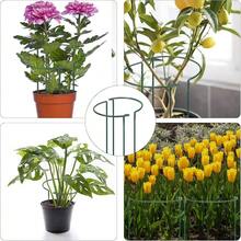 10 Soportes semicirculares para Plantas, 25x 40, estacas de Soporte para Plantas, estacas de Metal para Plantas, jaulas de Anillo para Verduras, Tomates, Rosas, hortensias, Plantas en - inicial - Ver 8