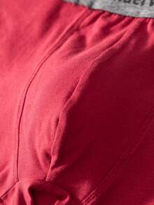 4pcs Cotton Panties Men's Boxer Shorts Sweat Absorbent Breathable Briefs Business Casual Briefs