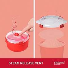 Steam Pot - Multicolor - View 5