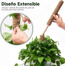 Grafting Film - 1 - 查看 5