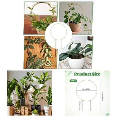 2 piezas de enrejado pequeo para plantas en maceta, enrejado redondo de 14.5 pulgadas, enrejado dorado para plantas de interior, pequeas estacas de apoyo para plantas de jardn en maceta, plantas