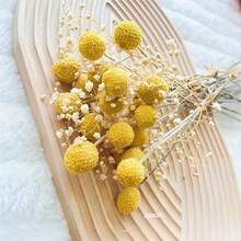 Ramo de flores secas, Craspedia real seca, flores de aliento de bebé para florero, centro de mesa, sala de estar, decoración del hogar - Amarillo - Ver 4