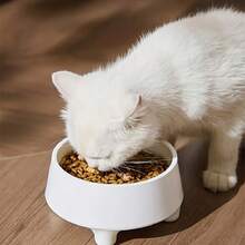 Elevated Dog/Cat Bowl, Stainless Steel Pet Food & Water Bowl, Non-Spill, For Small Dogs, Medium & Large Breeds - 300ml - View 1