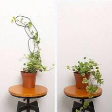 17 Piezas de Enrejado de Cadena de Metal para Plantas trepadoras al Aire ltima intervensin, Soporte para escaladores de Plantas de Pothos Enrejado de Vid para jardn, Accesorios de casa, Soporte - 17 enrejados ovalados - Ver 4