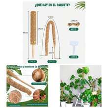 4 Pcs Tutor para Plantas 64CM de Poste de Musgo Flexible para Plantas Monstera Tutores para Plantas con 4 Rollo Cuerda de Yute/10Pcs Etiquetas Poste de Musgo Plegable para Plantas de Soporte - inicial - Ver 1