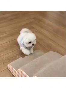 宠物楼梯床边台阶，适用于小型犬猫，沙发床梯子，幼犬泰迪熊攀爬坡道 - 彩色 - 查看 9