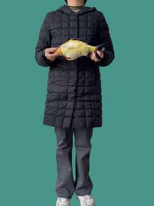 3D Giant Soft Fish Shaped Plush Pillow, Decorative Stuffed Fish Cushion, Oversized Decorative Pillow, Creative Home Decor Gift, Pet Doll, Children's Gift - Multicolor - View 14