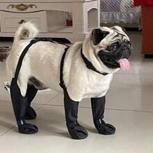 Dog Rain Booties Set - One-Piece Anti-Dirty Design For Rainy Days - Black - View 6