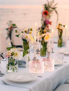 10个粉色牛皮纸“谢谢”礼品袋，情人节礼品包装袋，手提袋，印有“谢谢”蝴蝶图案，新年礼品袋，纸袋，新年，婚礼，生日礼品包装袋，简约购物袋，最便宜的商品，婚礼，婚礼季户外派对，节日派对，春季珠宝礼盒，婚礼回礼，情人节 - 粉色 - 查看 5