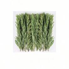 1pc/60g, 120g, 180g Assorted Dried Flowers & Herbs Decoration Accessories, Suitable For Handmade, Fragrance Enhancement, Home Decor, Parties, Festivals - Cinnamon, Star Anise, Lemon Slices, Orange Slices, Rose Petals, Rosemary - Decorative Materials (1 Piece) - View 14