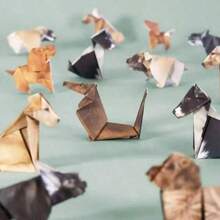 50pcs 3D Animal Origami Kit - Cats And Dogs, STEAM Educational Toys For Kids, Handmade Crafts For Boys And Girls, Parent-Child Creative Interaction For Preschoolers, Cute Stress Relief Toys, Kindergarten Birthday Christmas Gifts - Multicolor - View 6