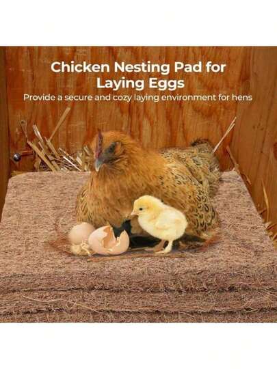 Natural Bird And Chicken Bedding, Nesting Pad, Coconut Palm Insulation Blueberry Pad, Snow Mat, Pet Pad, Coconut Roll, Coconut Fiber Palm Pad, Reptile Pet Pad, Resting Pad, Suitable For Small Animals Like Birds And Chickens, Nesting Pad, Coconut Palm Insulation Blueberry Pad, Snow Mat, Pet Pad, Coconut Roll, Coconut Fiber Palm Pad, Reptile Pet Pad