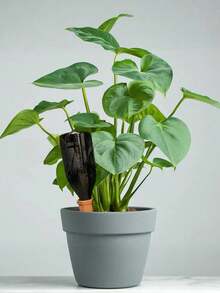 1pc Red Soil Automatic Watering Device, Ceramic Classic Slouchy Person Drip Irrigation Pot, Home Potted Plant Watering Tool - Coral Pink - View 3