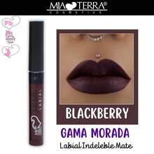 MIA TERRA COSMETICS PAQUETE LABIALES INDELEBLES LIQUIDOS GAMA COMPLETA - GAMA MORADA - Ver 2