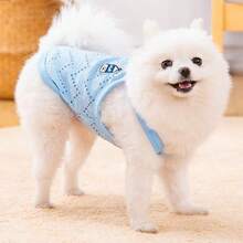 1件宠物降温背心，犬猫透气网布防晒防掉毛轻便夏季背心，适用于贵宾犬、比熊犬、博美犬及幼犬品种 - 藍色 - 查看 4