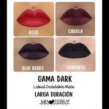 MIA TERRA COSMETICS LABIAL INDELEBLE - CIRUELA - Ver 4
