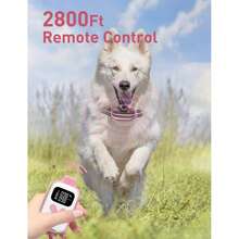 Collar de vibración de 2800 pies para perros pequeños, medianos y grandes, collar de entrenamiento para perros sin descarga eléctrica, collar de perro con vibración y pitido con control remoto