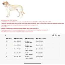 Cute Pattern Pet Harness Set - Soft & Suitable For All Seasons - Royal Blue - View 2